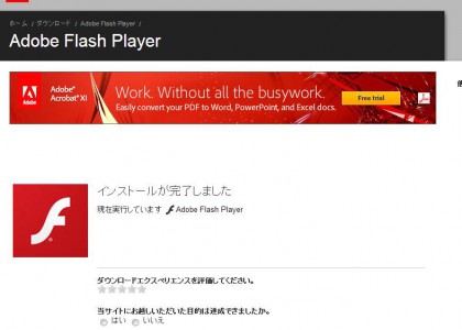 2013-08-04_1820_Adobe_Flash_Player_11